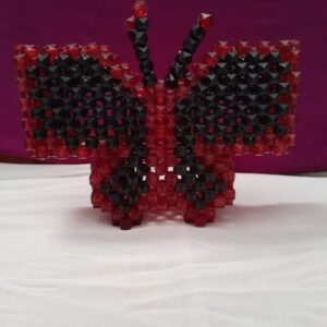 IMG-20240813-WA0002