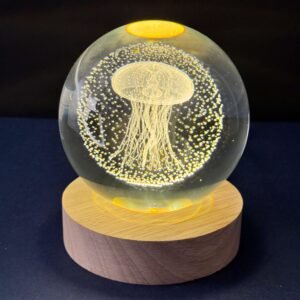 بلورة قنديل البحر